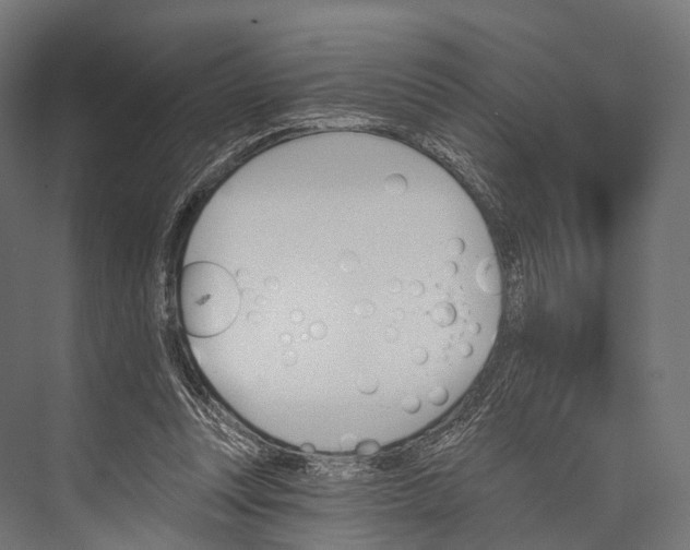 X0000076060351200610061542