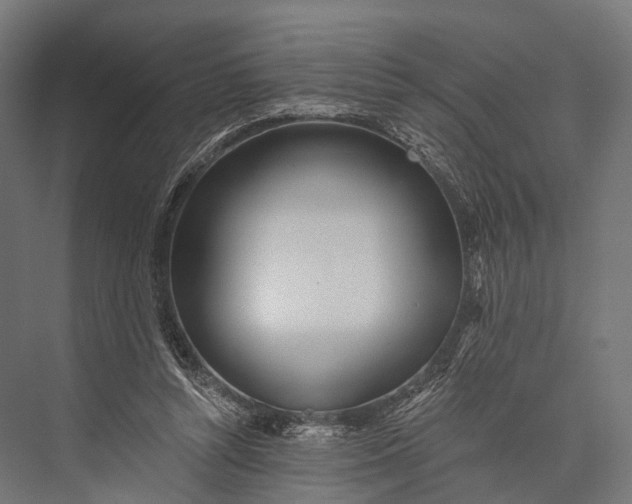 X0000076060352200610061542