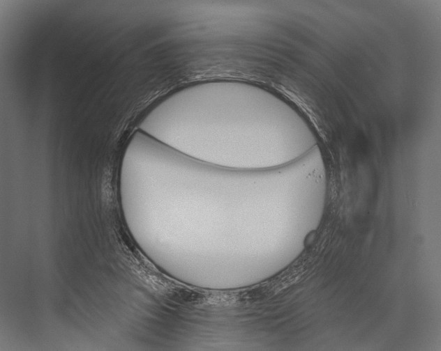 X0000076060353200610061542