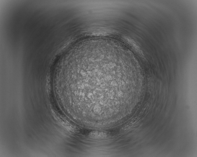 X0000076060354200610061542