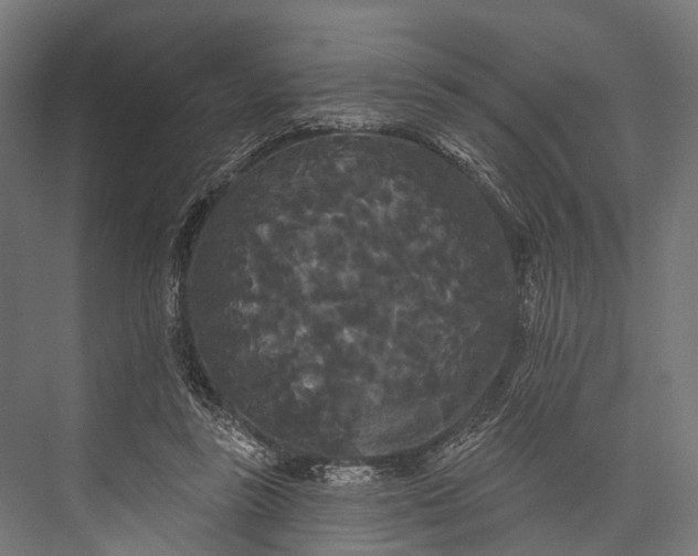 X0000076060355200610061542