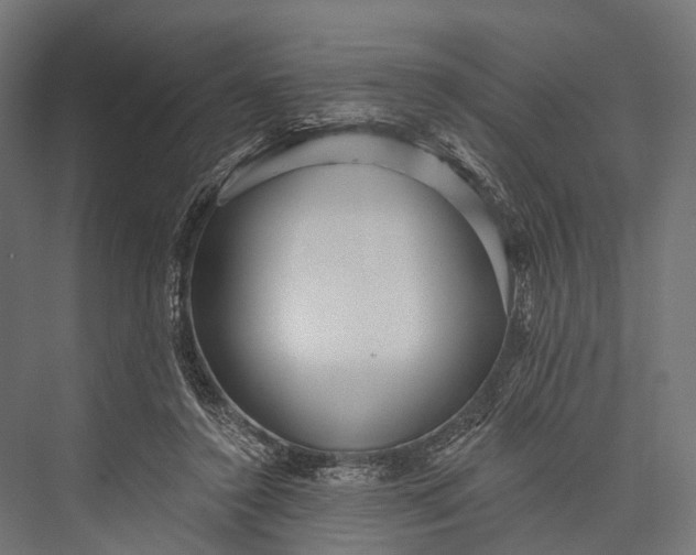 X0000076060356200610061542