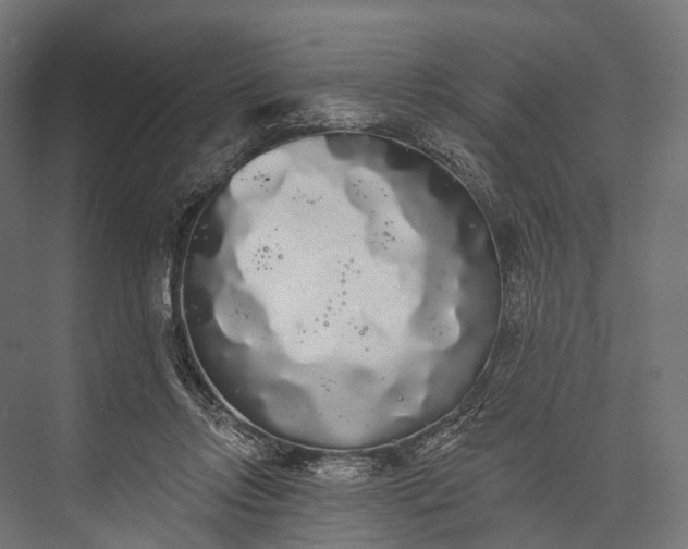 X0000076060358200610061542