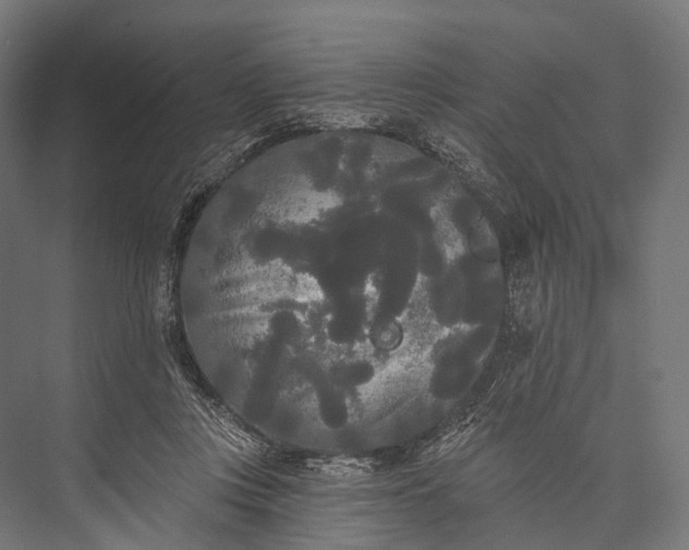 X0000076060359200610061542