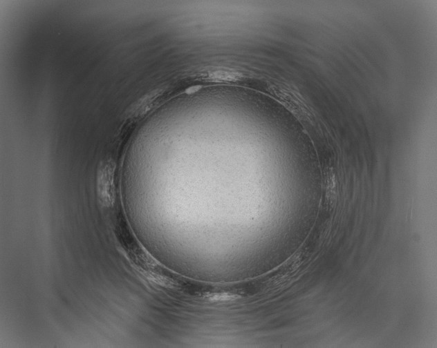 X0000076060360200610061542