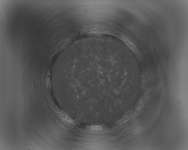 X0000076060361200610061542