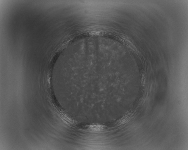 X0000076060363200610061542