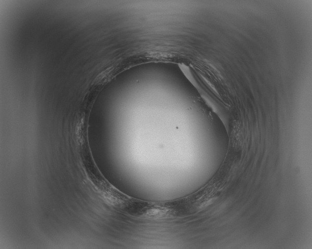 X0000076060364200610061542