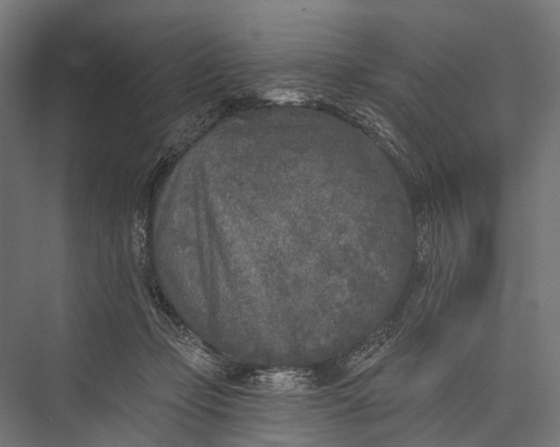 X0000076060365200610061542