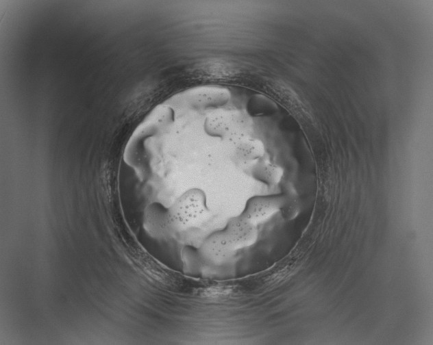 X0000076060366200610061542