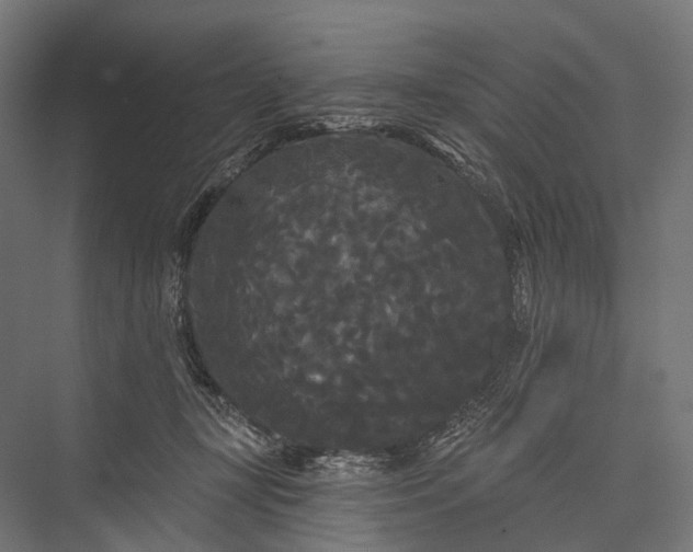 X0000076060367200610061542