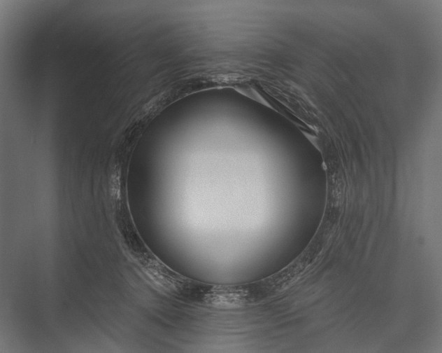 X0000076060368200610061542