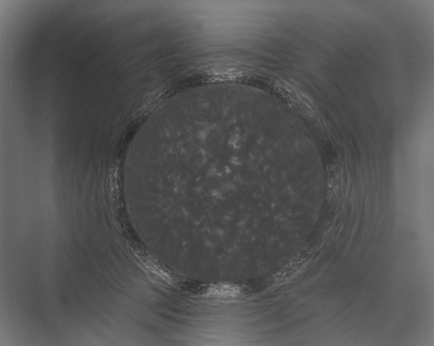 X0000076060369200610061542