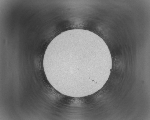 X0000076060370200610061542