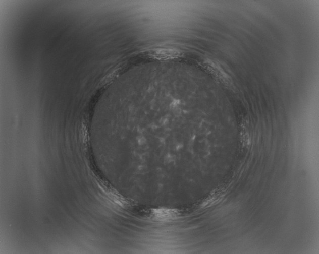 X0000076060371200610061542