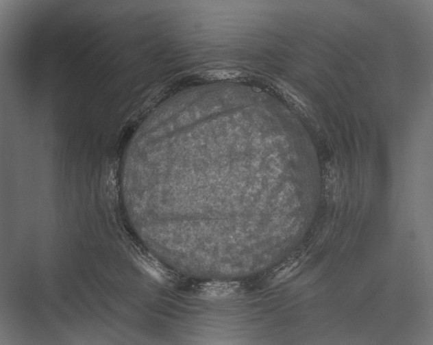 X0000076060373200610061542