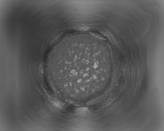 X0000076060374200610061542