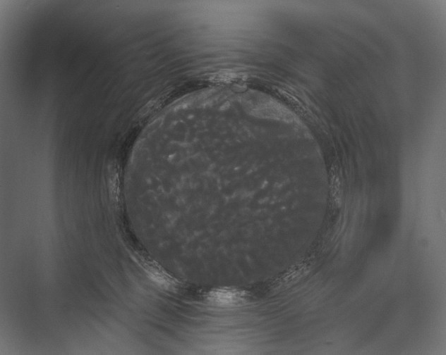 X0000076060375200610061542