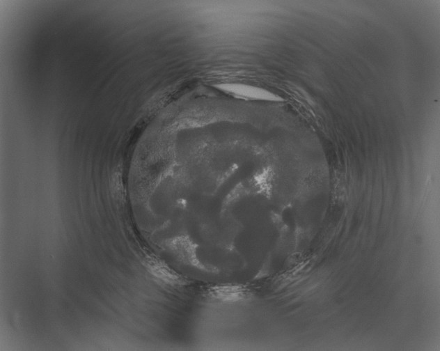 X0000076060377200610061542