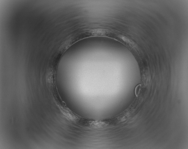 X0000076060379200610061542