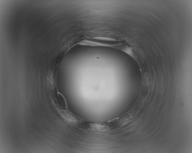 X0000076060380200610061542