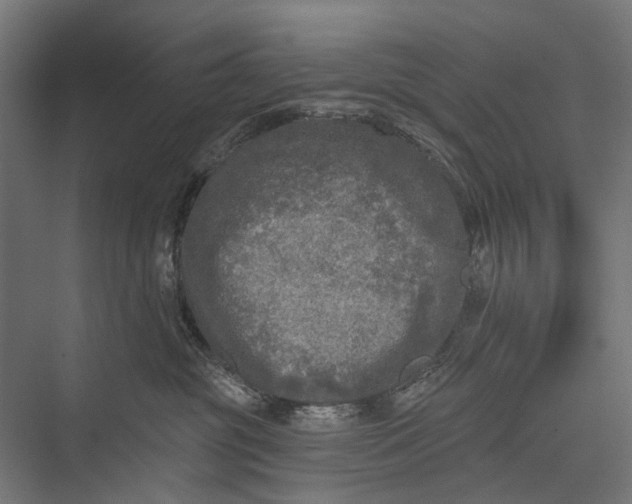 X0000076060381200610061542