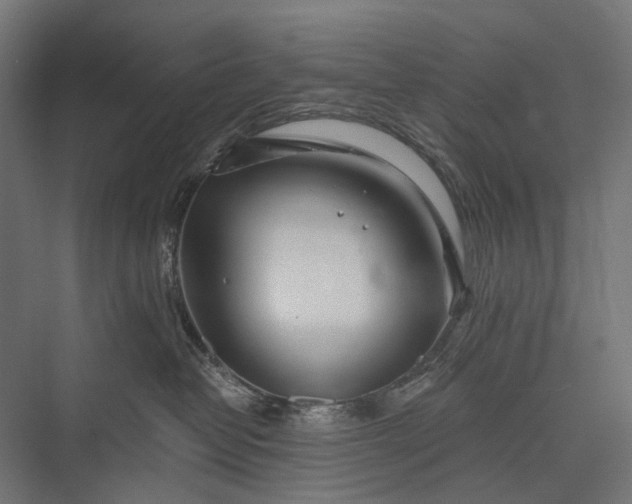 X0000076060382200610061542