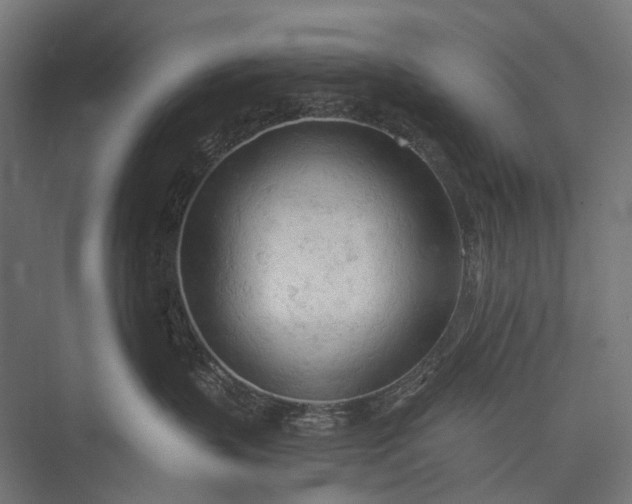 X0000076060383200610061542