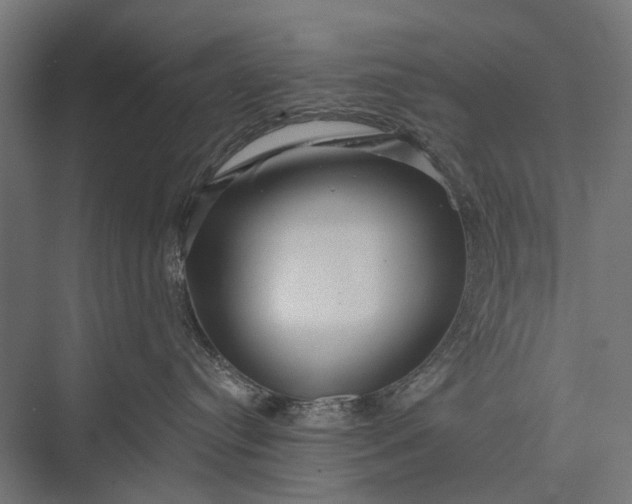 X0000076060384200610061542