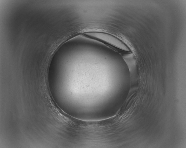 X0000076060385200610061542