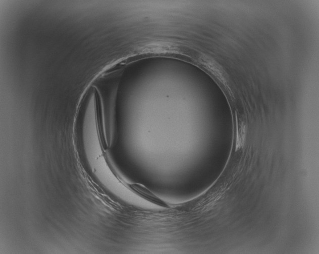 X0000076060387200610061542