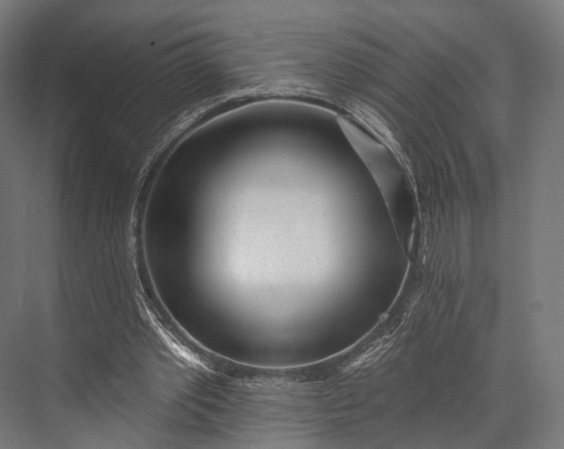 X0000076060389200610061542