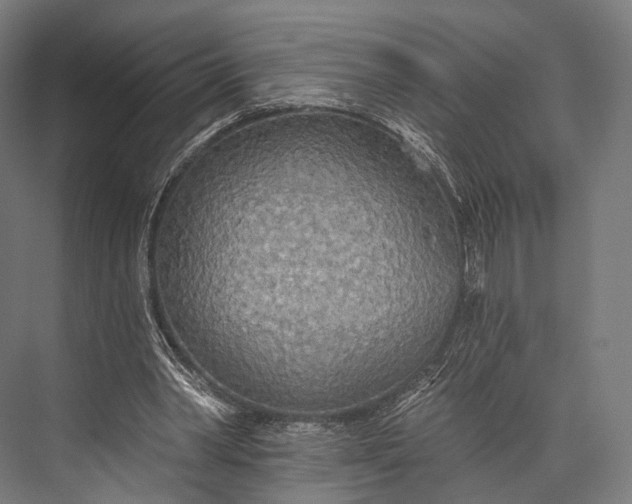 X0000076060390200610061542