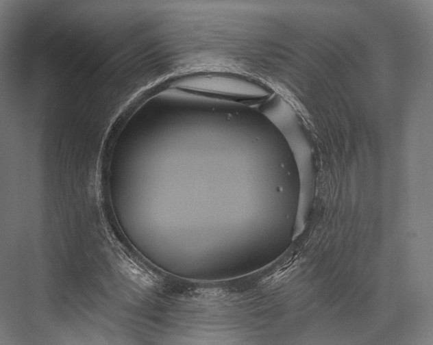 X0000076060391200610061541