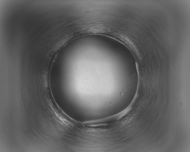 X0000076060393200610061541