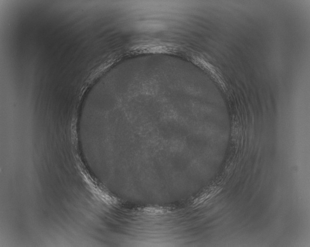 X0000076060394200610061541