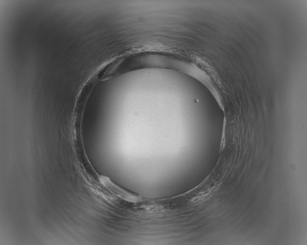 X0000076060395200610061541