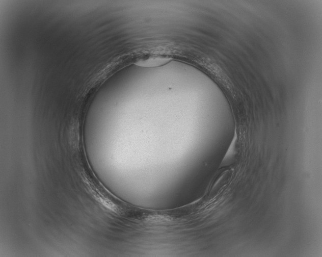 X0000076060397200610061541