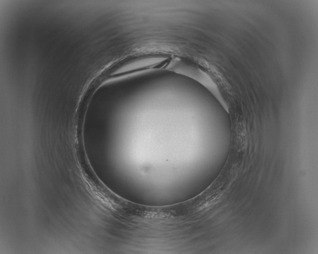 X0000076060399200610061541