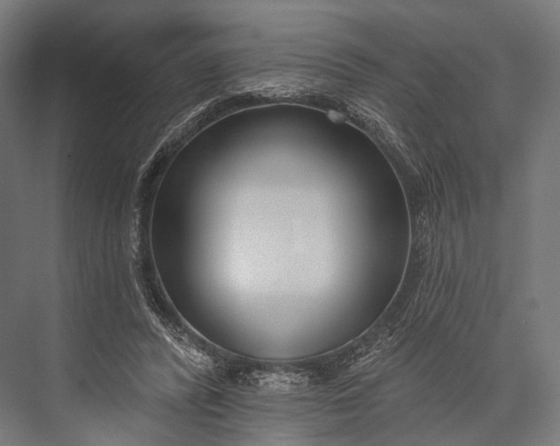 X0000076060400200610061541