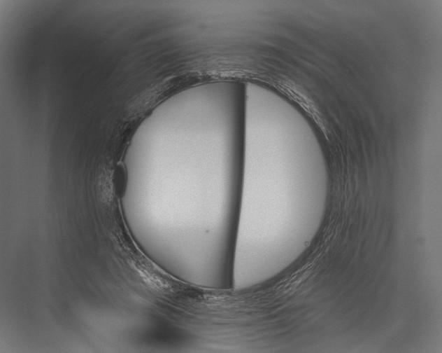 X0000076060401200610061541