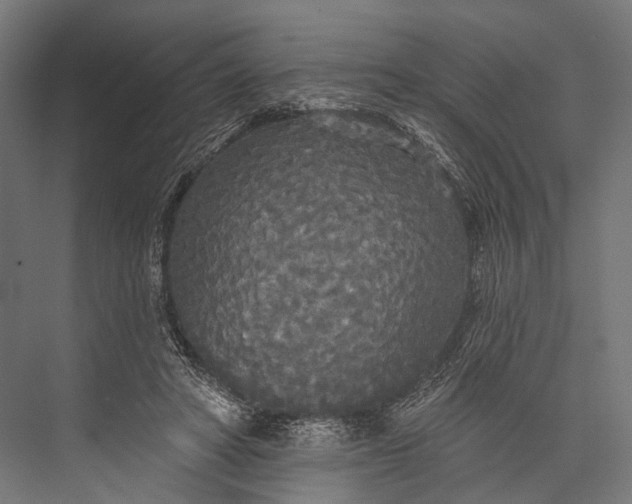 X0000076060402200610061541