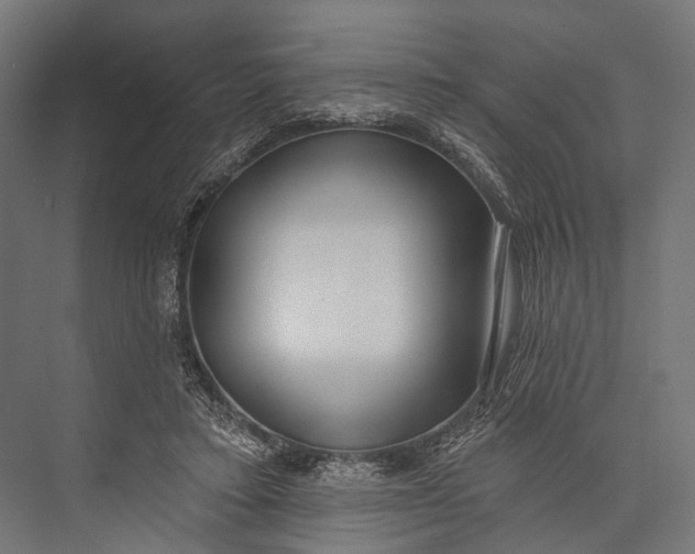 X0000076060403200610061541