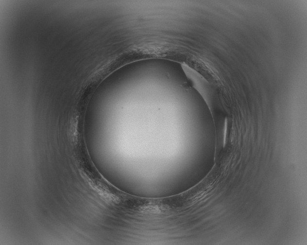 X0000076060404200610061541