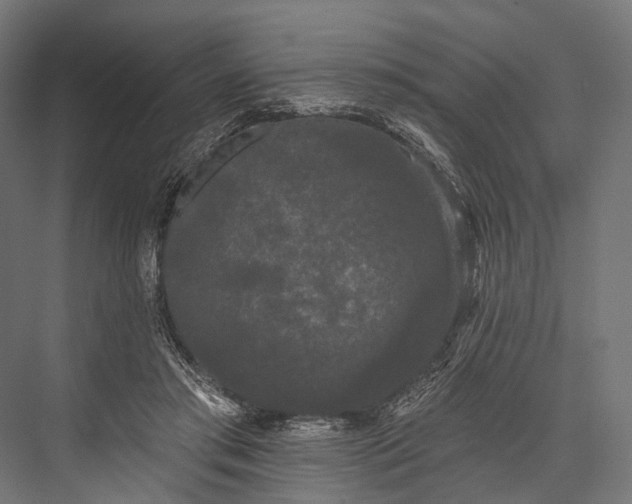 X0000076060405200610061541