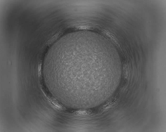 X0000076060406200610061541