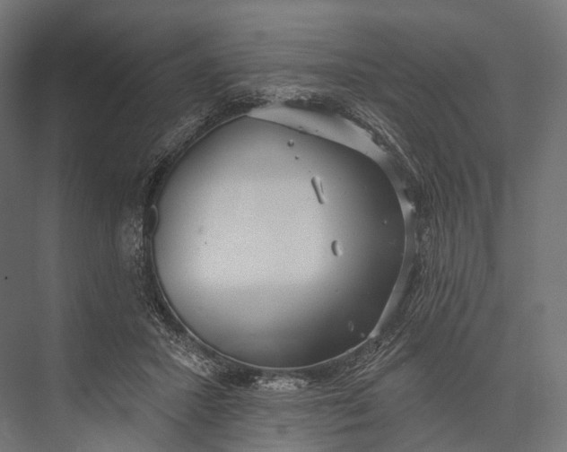 X0000076060407200610061541