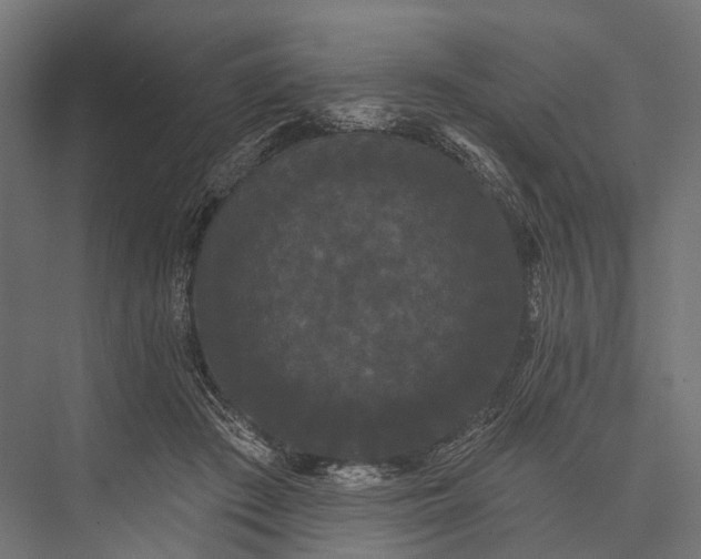 X0000076060409200610061541