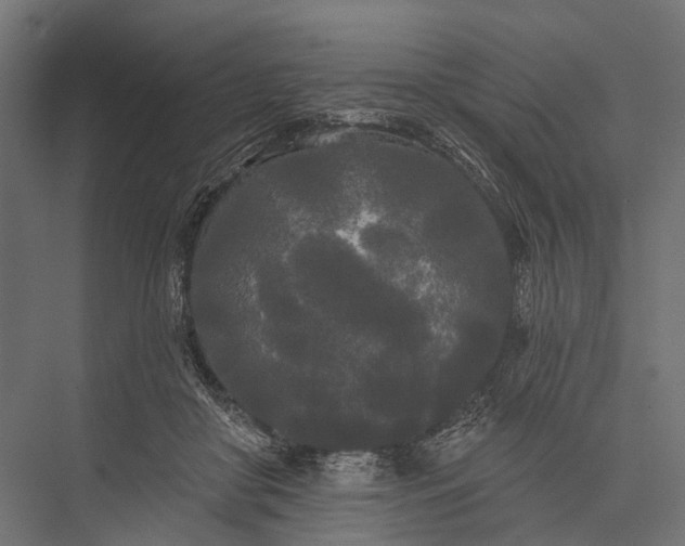 X0000076060410200610061541