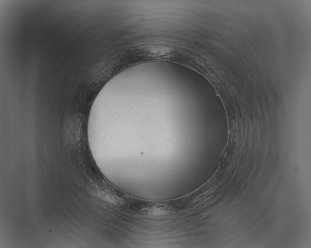 X0000076060412200610061541